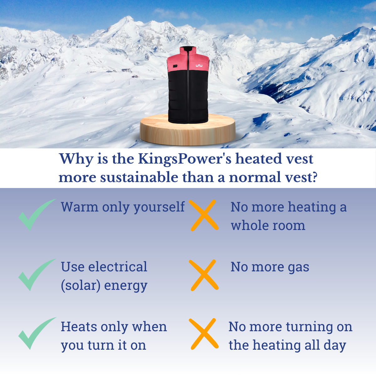 Verwarmde Bodywarmer Dames | Roze/Zwart | GRATIS Powerbank + Ebook